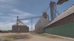 No permitirán por ningún motivo el cobro por almacenar el maíz en bodegas particulares
