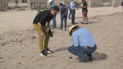 Mazatlán se perfila como ganador de Reto Naturalista a nivel nacional