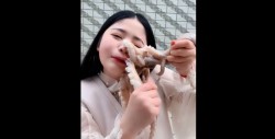 VIDEO: Youtuber intenta comerse un pulpo vivo pero... algo no salió bien