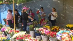 Definen precio de las flores para el día de las madres
