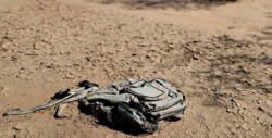 Activistas hallan en Arizona restos de cuerpos de cuatro presuntos migrantes