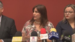 Anuncias foros sobre familia recompuesta y maternidad subrogada