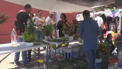 Reactiva ventas celebración del día de las madres