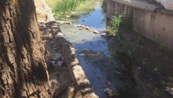 Vecinos de Infonavit Humaya temen que se registren inundaciones por canal lleno de basura y maleza