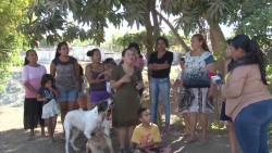 Salen a defender su 'tesoro verde' en Rincón de Urías
