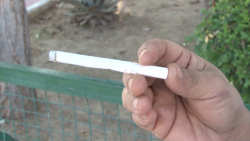CIJ Mazatlán realiza actividades para evitar el consumo del Tabaco