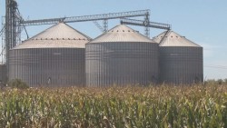Problemas de los productores agrícolas se deben a la ausencia del gobierno federal para poner orden