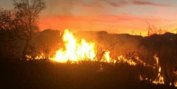 Incendios forestales han afectado una superficie de 152,952 hectáreas