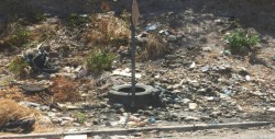 Otra vez  basura por la Albert Einstein