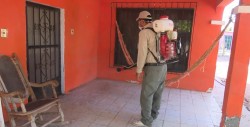 No hay casos de dengue en la región