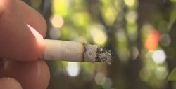 Actividades por el día mundial sin tabaco