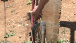 ¡Sin agua, pero si con el recibo de cobro de la JUMAPAM!