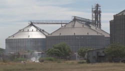 El PRD exige al gobierno federal frenar los cupos de importación de maíz