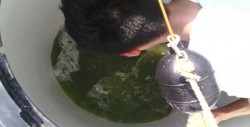COEPRISS exhorta a la población a limpiar sus depósitos para almacenar agua