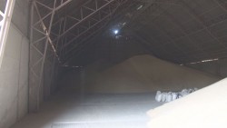 Se compromete el gobierno federal en apoyar la totalidad de la producción de maíz