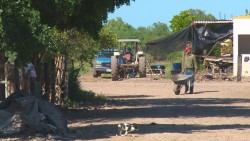 Navolato registra problema de sequía entre sus comunidades