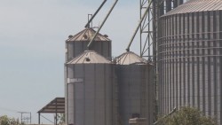 Rechazan productores agrícolas la validación que está realizando ASERCA en Sinaloa