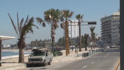 'Dejan morir' a las palmeras en Mazatlán