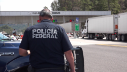 En Mazatlán son altas las cifras de recuperación de vehículos robados: PF