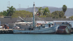 Pescadores desesperados, radicalizarán acciones de protesta: Unión de Armadores