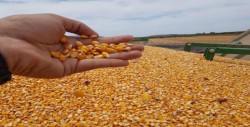 Piden policías capacitación en tema agrícola
