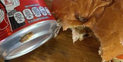 Controversia en redes al hallar cucarachas en comida y bebida en famoso restaurante de Culiacán