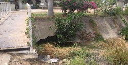 De mal en peor arroyo  en la colonia Emiliano Zapata