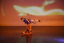 Actividades del Festival de Primavera en 4 municipios