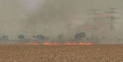 Quema de soca sin ver el daño al ambiente