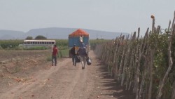 Afectaciones a las exportaciones de imponerse mas aranceles por parte de Estados Unidos