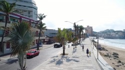 No es injerencia del Estado, asunto de palmeras en el malecón: SOP