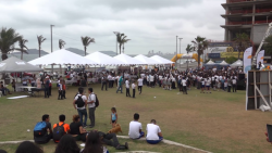 Realizan marcha y feria por el Día Mundial Sin Tabaco : DIF Municipal