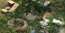Un fuerte mal olor expide el arroyo en el Nuevo Culiacán