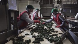 Imposición de arancel estancará la economía de México