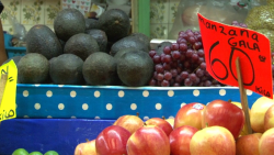 Hasta $80 pesos el kilo de aguacate en Mazatlán