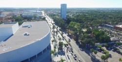Invitan a sumarse a campaña de reforestación