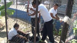 Les prometen techumbre en escuela, pero reclaman prioridades