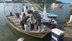 Paralizada la pesca en Topolobampo