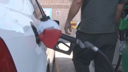 Falta personal de verificación en PROFECO para inspeccionar gasolineras