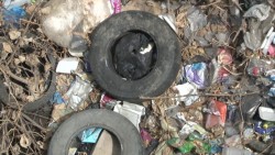 Se convierten en 'basureros clandestinos' canales en Mazatlán
