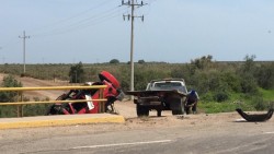 Abejas provocan accidente que deja como saldo una persona muerta