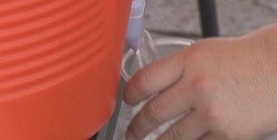 LLaman a extremar precauciones por  ola de calor