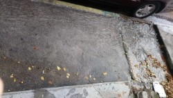 Fuerte fuga de agua en el nuevo Culiacán