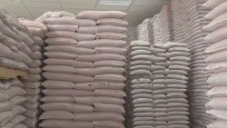 Gobierno del Estado destinará 20 mdp para apoyar con semilla a productores de temporal