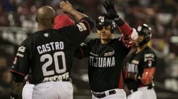 Luis Alfonso "cochito" Cruz encabeza actuación ofensiva de Tomateros en verano