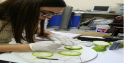 Estudiantes de posgrado de la Facultad de Ciencias Químico Biológicas  entre los mejores a nivel nacional e internacional