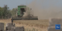 Productores agrícolas insisten en el pago del complemento al ingreso objetivo