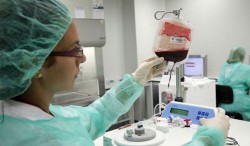 Sangre segura para todos