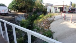 Muy sucios los arroyos de la colonia Guadalupe Victoria