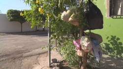 Sin pasar el carro recolector de basura en Prados del Sur